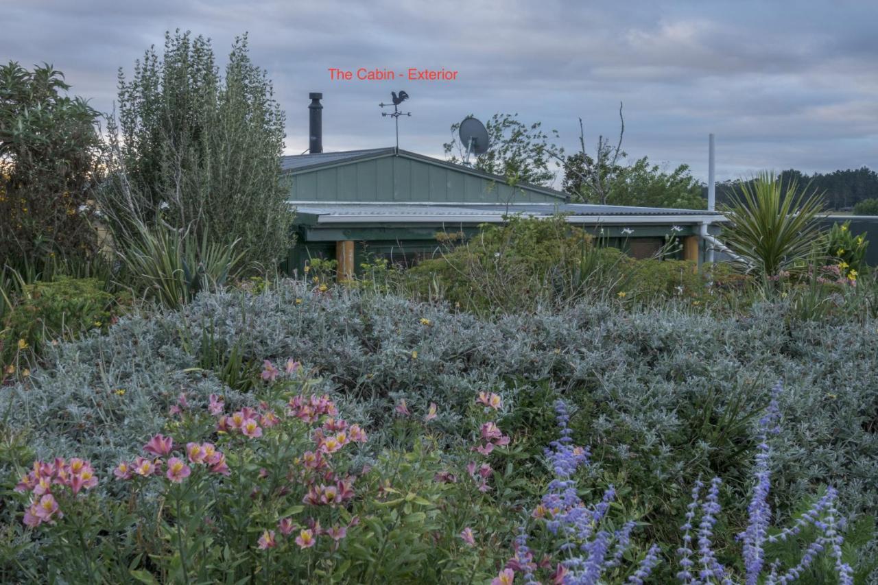 Tracy'S Boutique B&B Farmstay Wellsford Exterior foto